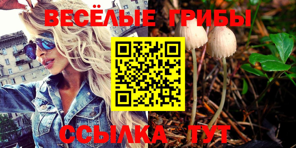 Галлюциногенные грибы мицелий Свободный