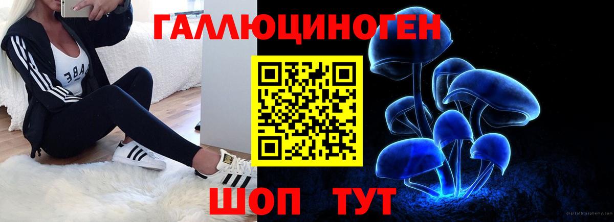 Галлюциногенные грибы Magic Shrooms  Вход с VPN  Свободный 